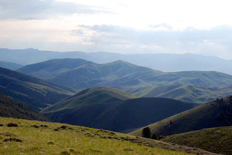 View from Lemhi Pass