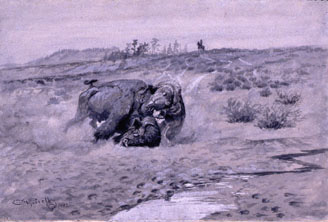 Death Battle of Buffalo and Grizzly Bear