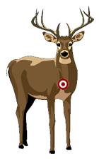 drawing of a male deer showing a target on his heart