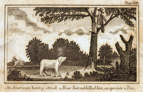 Early woodcut illustration with the inscription: 'An American having struck a Bear but not killed him, escapes into a Tree.'