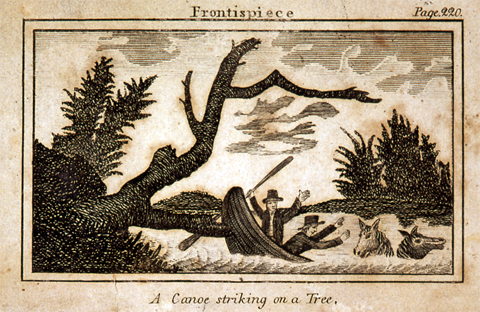 canoe striking tree