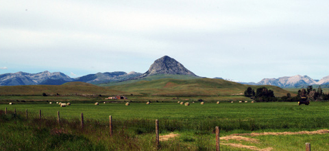 Small, pointy, rocky hill