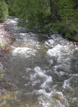A medium-sized mountain stream
