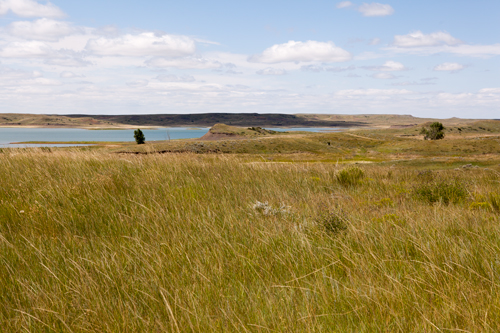 Low hills with golden-brown grass above a large river