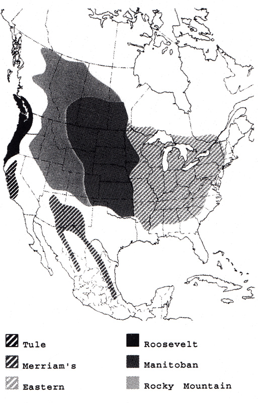 Map of North America showing the ranges of six subspecies of elk