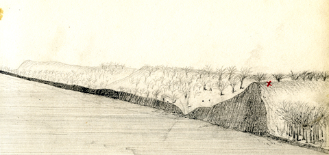 stuart sketch of bluffs