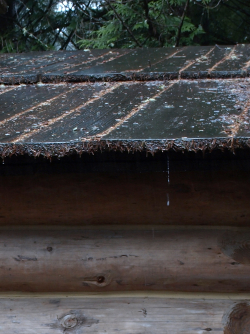 staight-hewn boards covering a log hut