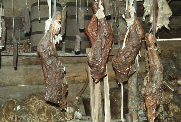 Smoked meat hanging in a log cabin