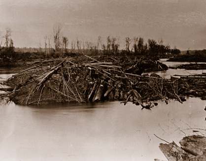 historic photo of a large mound of logs and sticks in the middle of a river