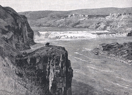 verge of the canyon