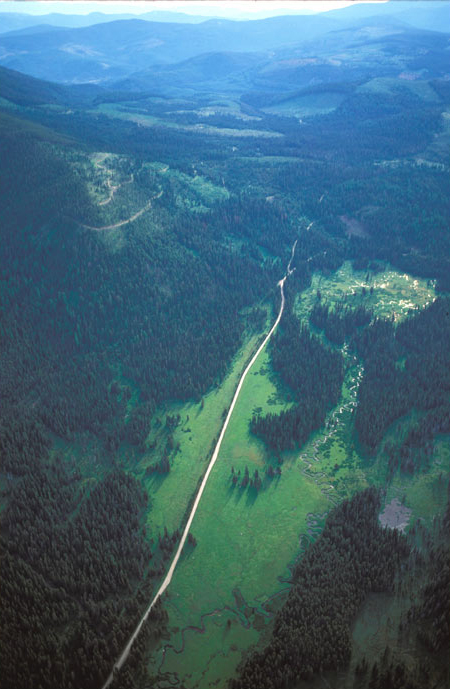 Aerial view of a narrow valley surrounded by trees