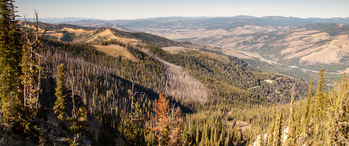 View looking down the north side of Lost Trail Pass