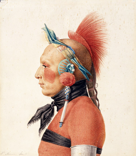 Osage Warrior in profile