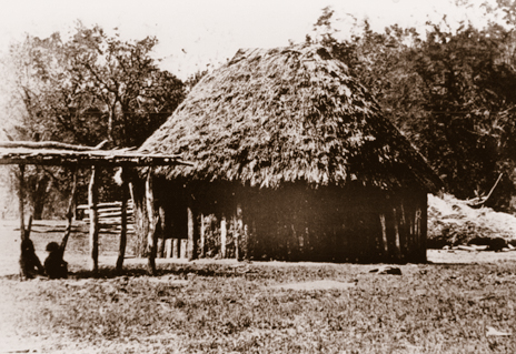 Round hut with a tall grass roof