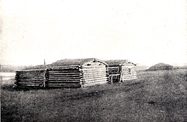 Two log cabins with sod-covered roofs