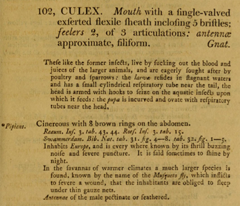 Portion of an old latin textbook