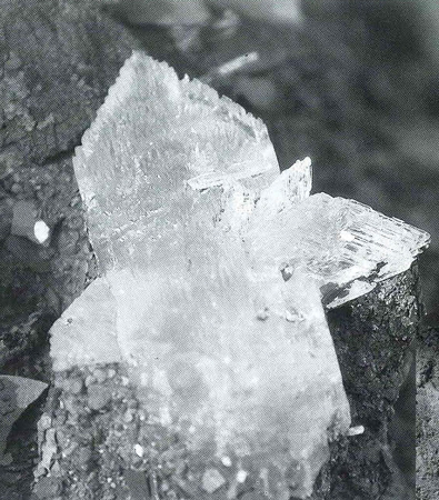 Two clear crystals joining to make an 'X' shape