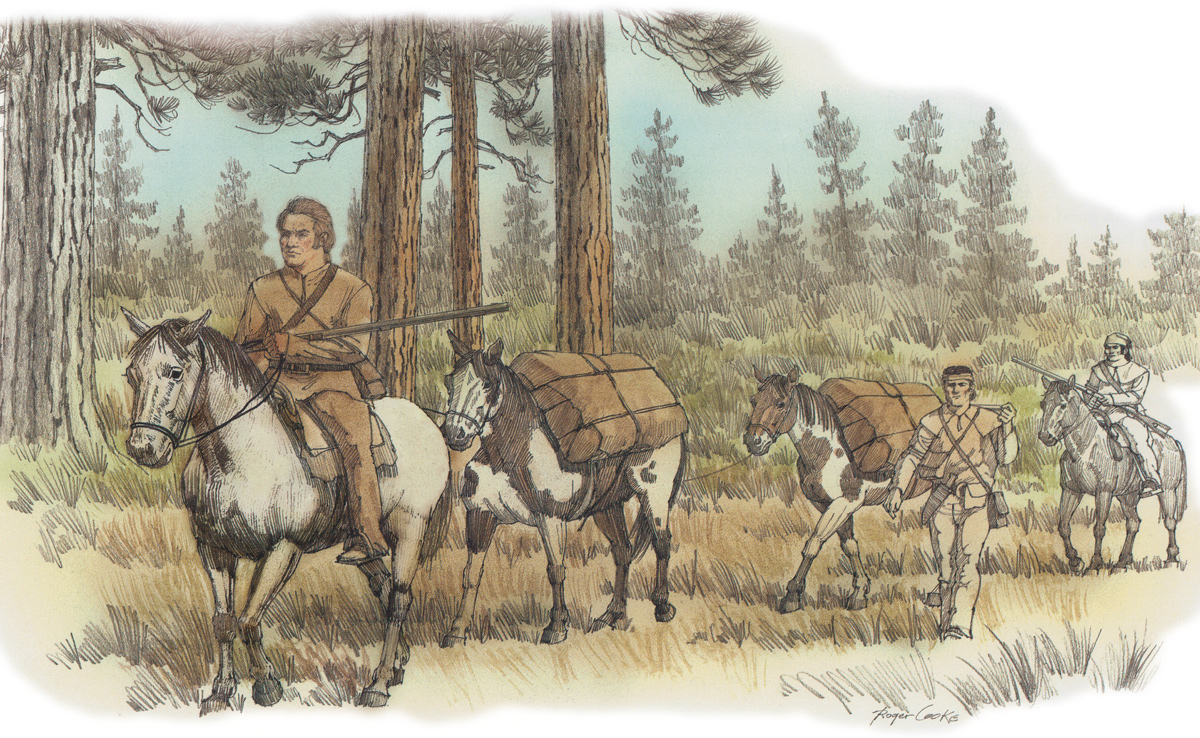 The expedition men lead pack horses though a ponderosa pine forested river bottom