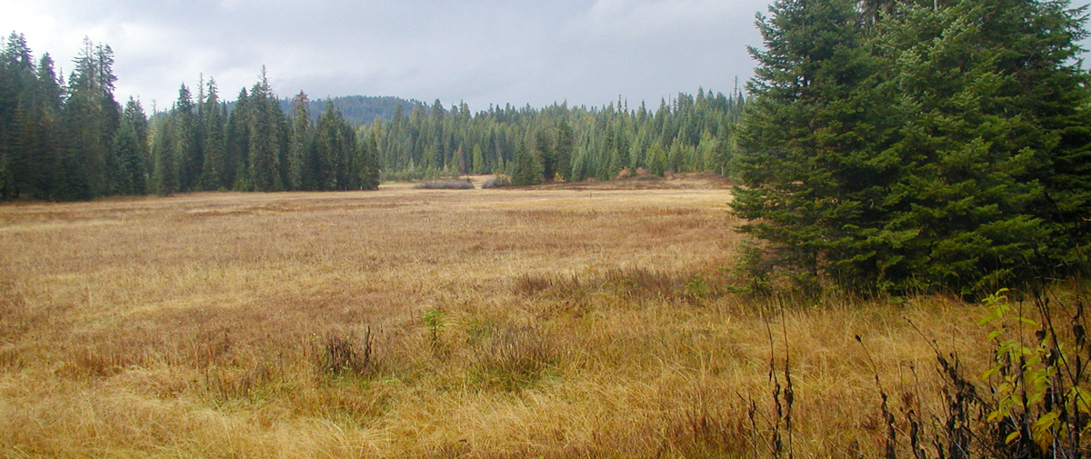 A brown prairie under cloudy skies