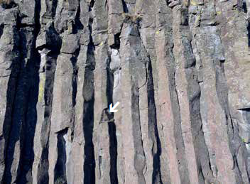 Tall columns of dark rock from a cliff