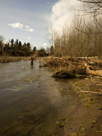 Broad river with sandy shores clogged with driftwood