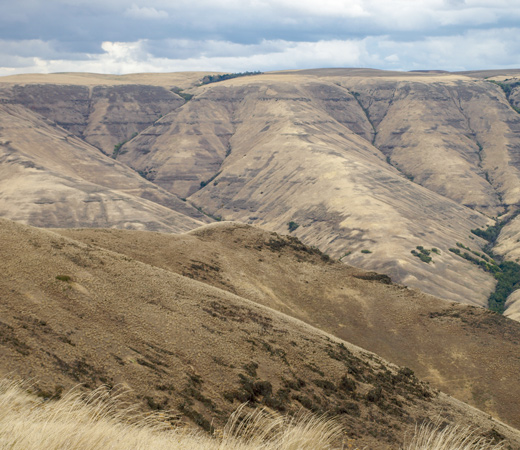 Rolling dunes above steep anticlines