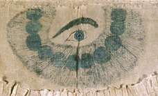 A single eye looking that seems to see everything