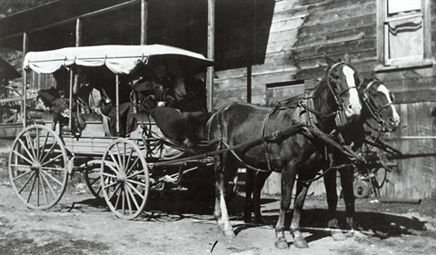 Two horses pulling a covered wagon