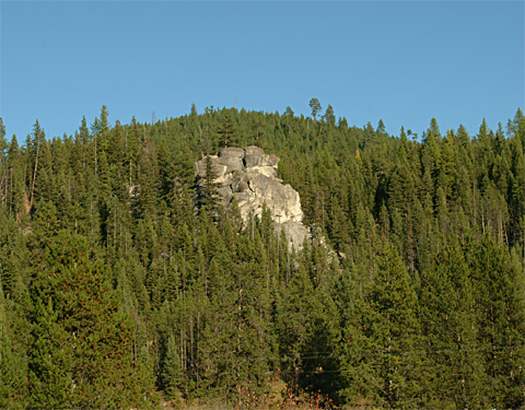 monolithic rock standing above the forest