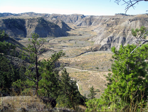 different perspective