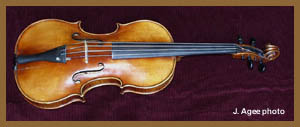 photo of a violin