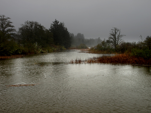a wet and miserable day on a coastal river