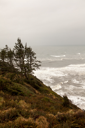 overlooking the Pacific Ocean on a stormy, cloudy day