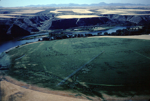 Round, irrigated field on a bottom of a big bend in the Missouri