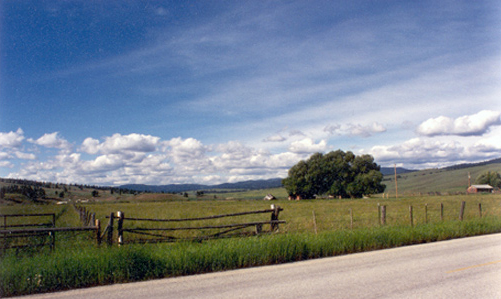 Small valley in the mountains converted to farm pastures