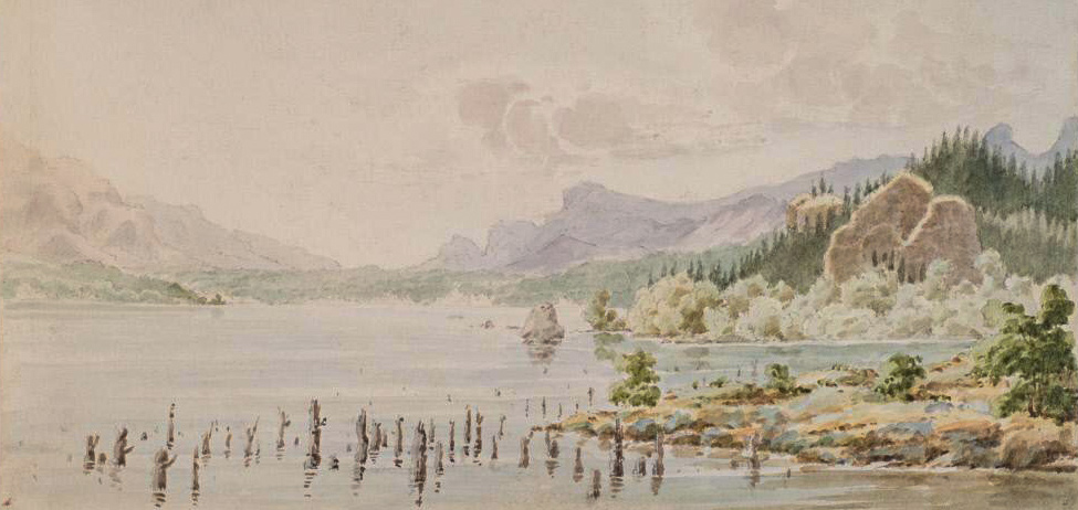 tree stumps rise out of the Columbia River