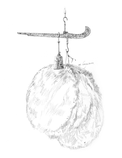 Steelyard arm hanging from a hook