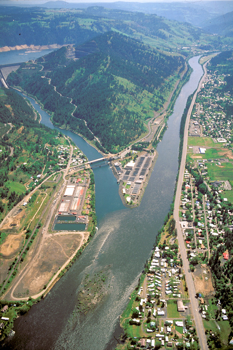 aerial view of two rivers surrounded by modern buildings joining