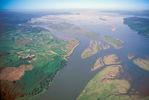 Aerial photo of the wide Columbia River with numerous islands