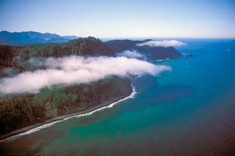 Aerial photo of Tillamook Head: a tall cliff jutting out into the ocean