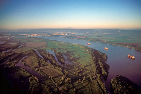 Two large coastal rivers with ocean going freighters in them