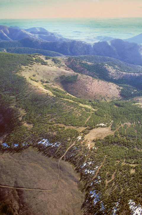 Rolling mountains above the eastern plain