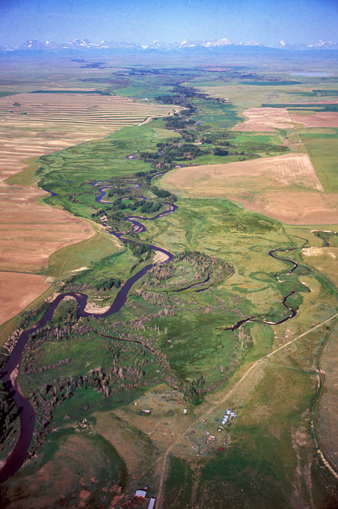 Aerial view of Cut Bank Creek winding through the plains