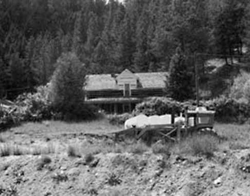 Same homestead in front of a thick forest