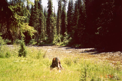 Lochsa River, shallow and clear