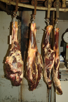 Large hunks of raw meat hanging from a hook