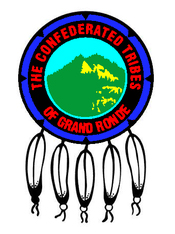 A shield with 3 feathers