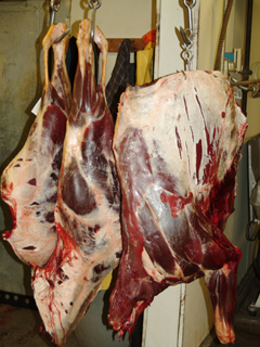 Large hunks of raw meat hanging from a hook
