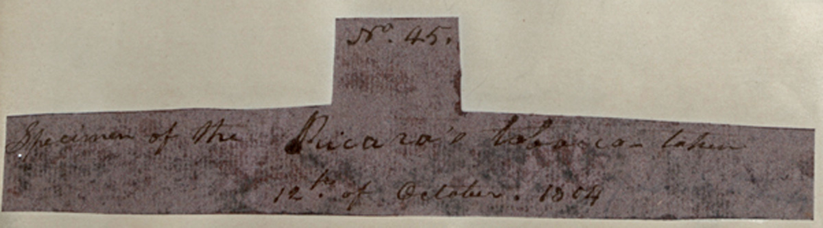 Lewis's Label: refer to text with this image