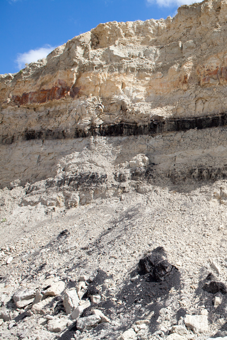 Strata of dark coal and white and pink sandstones